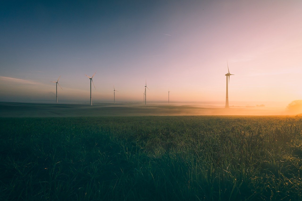 La transition écologique s’expose dans les musées