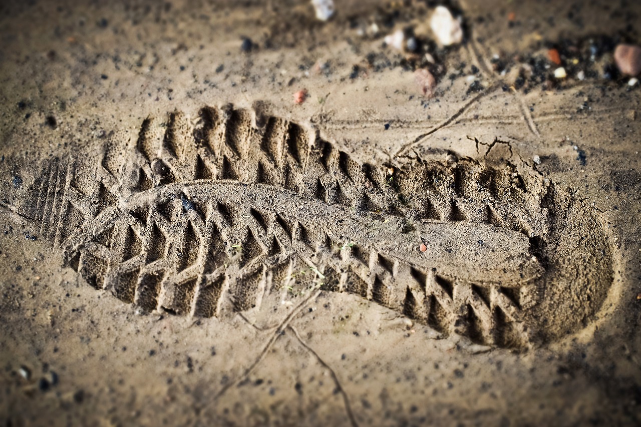 Le bilan carbone et son impact sur les changements climatiques