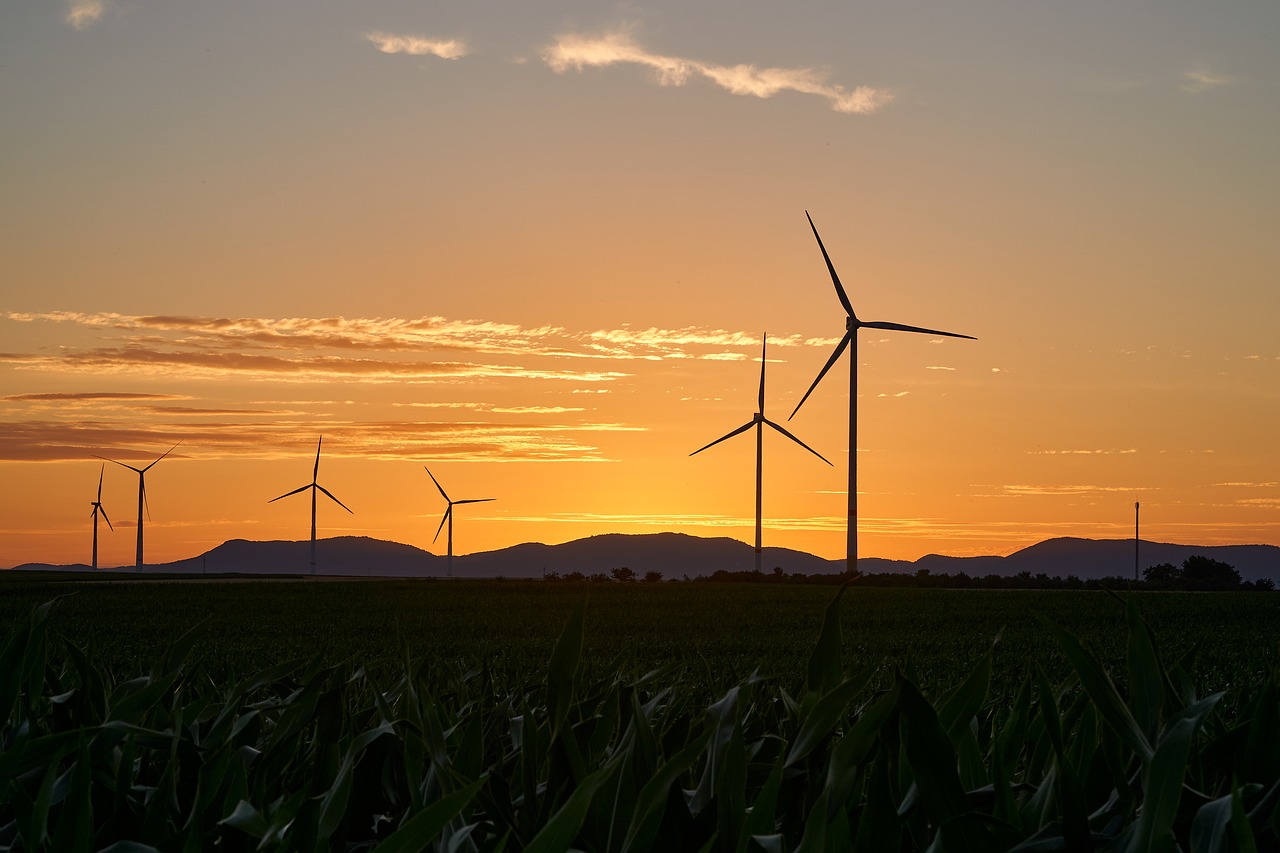 Énergies renouvelables : un bilan carbone à double tranchant