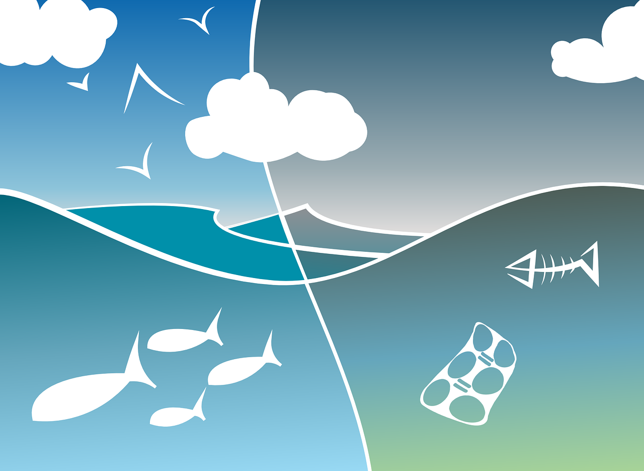 découvrez la biomasse, une source d'énergie renouvelable issue des matières organiques. apprenez comment elle contribue à la transition énergétique, réduit les émissions de carbone et offre une alternative durable aux combustibles fossiles.