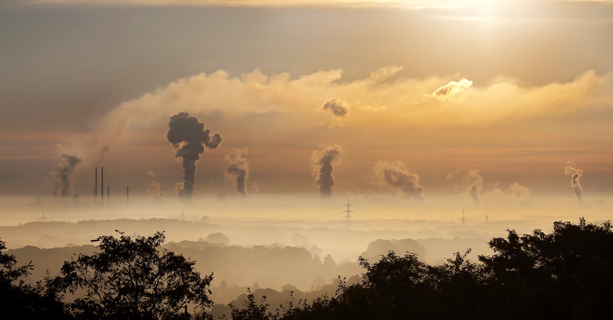 découvrez ce qu'est l'empreinte carbone, son impact sur l'environnement et les moyens efficaces pour la réduire. informez-vous sur les gestes quotidiens à adopter et les initiatives à soutenir pour un avenir plus durable.