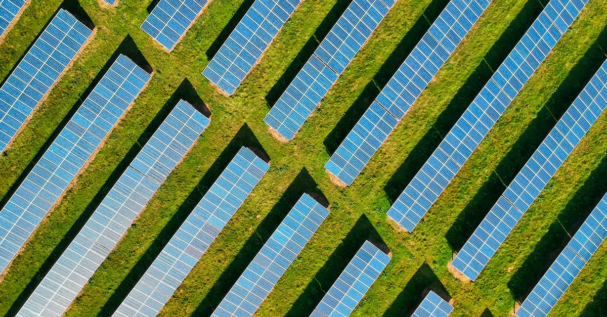 découvrez l'empreinte carbone, un indicateur essentiel de l'impact environnemental des activités humaines. apprenez comment réduire votre empreinte et contribuer à la protection de la planète.