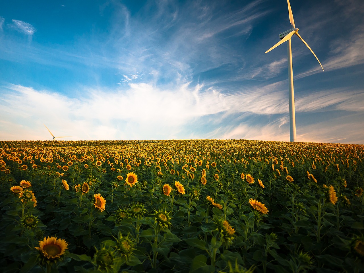 découvrez les enjeux et les avantages des énergies renouvelables, une solution durable pour un avenir plus vert. explorez les différentes sources telles que le solaire, l'éolien et l'hydraulique, et engagez-vous pour un environnement plus sain.