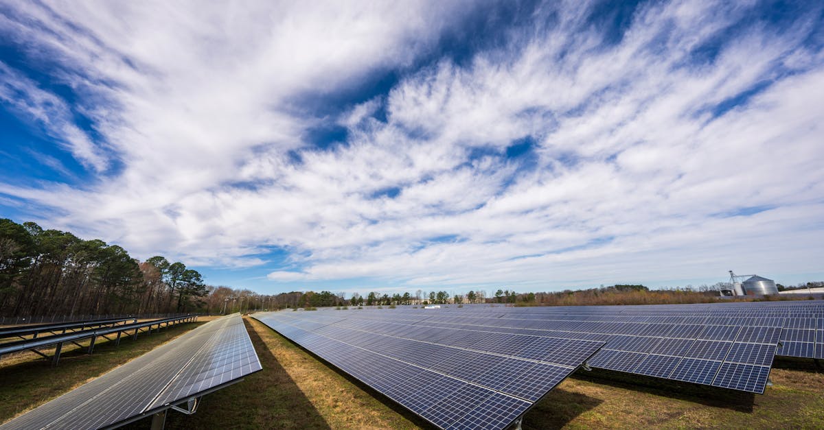 découvrez comment réduire votre empreinte carbone grâce à des conseils pratiques et des stratégies durables. informez-vous sur l'impact de vos actions quotidiennes sur l'environnement et apprenez des solutions pour un avenir plus vert.