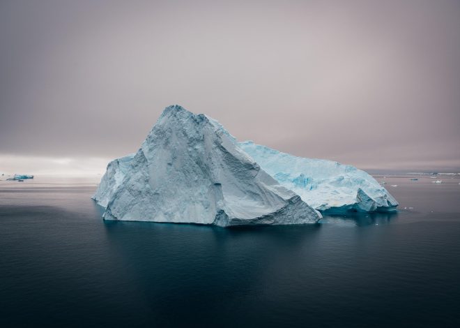 Préserver le climat pour sauvegarder la biodiversité