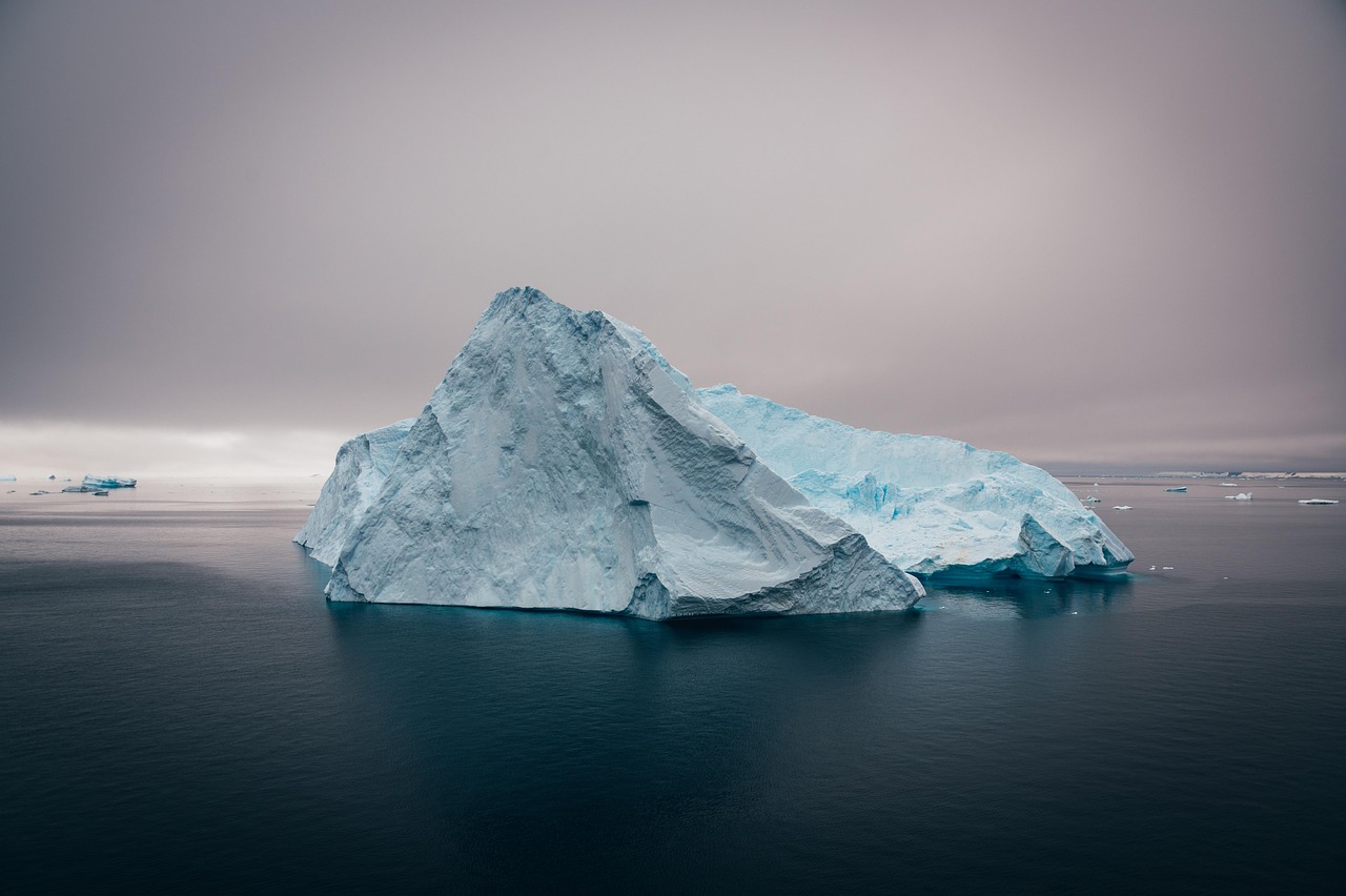 Préserver le climat pour sauvegarder la biodiversité
