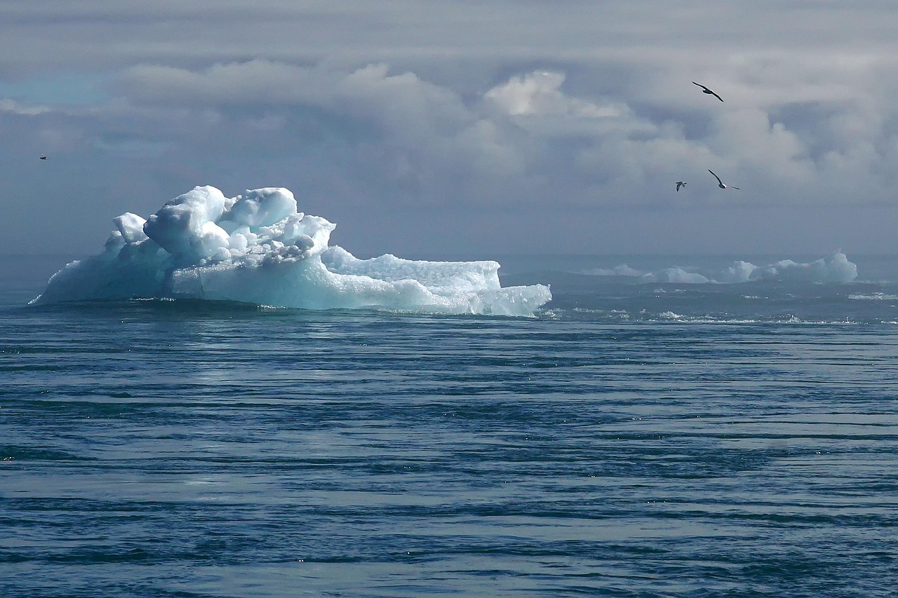 découvrez les enjeux du climat et les solutions durables pour préserver notre planète. explorez l'impact du changement climatique et comment chacun peut agir pour un avenir meilleur.