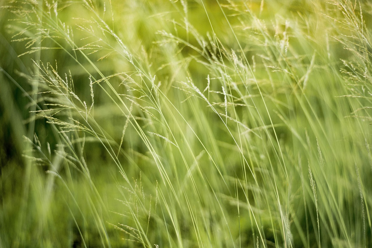 découvrez l'impact environnemental de nos activités sur la planète. analysez les conséquences du changement climatique, de la pollution et de la déforestation, et apprenez comment réduire votre empreinte écologique pour préserver notre terre.